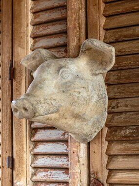 Decorative Weathered Pig's Head NEW